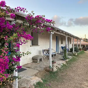  Alloggio per agriturismo La Tana Di Lu Maccioni Italia